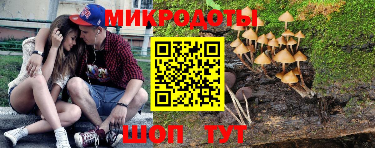 Псилоцибиновые грибы прущие грибы Асино