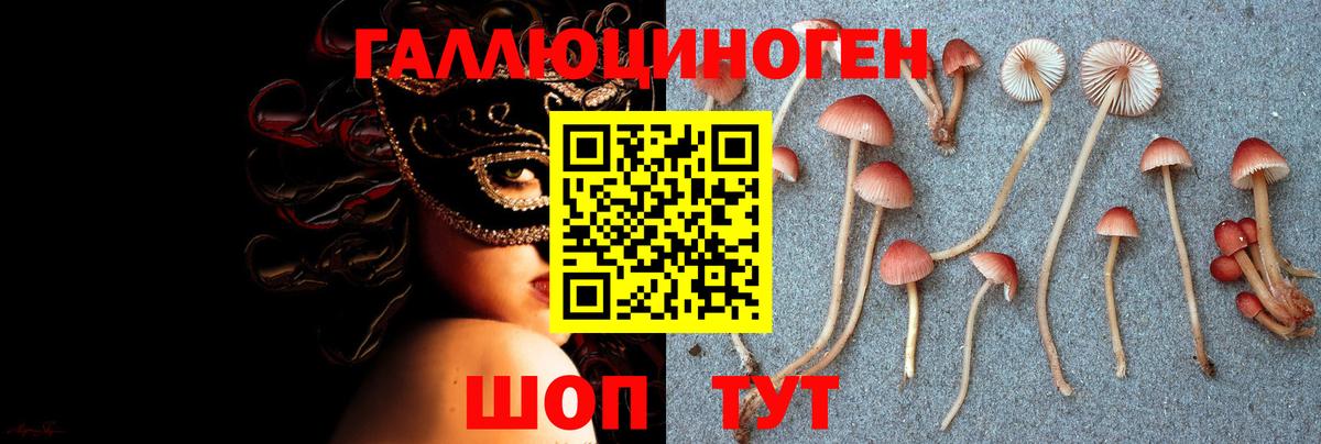 Асино  цена наркотик  Вход с VPN  Псилоцибиновые грибы прущие грибы 
